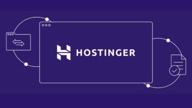 Hostinger Web Hosting